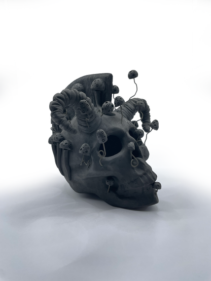 Calavera de los Derrumbes