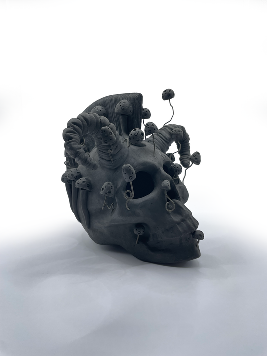 Calavera de los Derrumbes